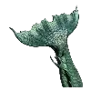 🐟
