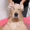 🛀