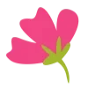 🌺