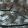 🌫️