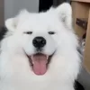 😛