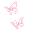 🦋