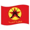 🇸🇾