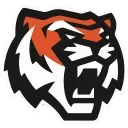 🐯