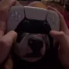 🎮