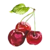 🍒