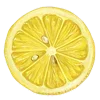 🍋