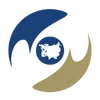 🔵