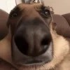 😶