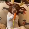 😲