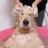 🛁