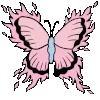 🦋