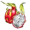 🥭