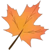 🍁