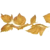 🌼