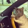 🚘