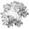 🌸
