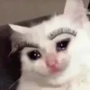 🥺