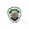 🇸🇾