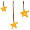 ✨