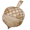 🌰