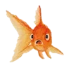 🐠