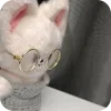 👓