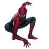 🕷️