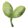 🌱