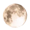 🌑