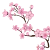🌸