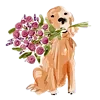 💐