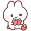 🍡