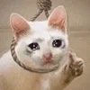 🥺