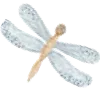 🦋