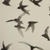 🕊️