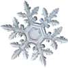❄️