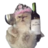 🐱