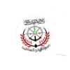 🇸🇾