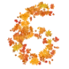 6️⃣