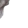 🌫️