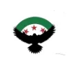🇸🇾