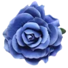 🌹