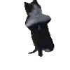 🕺