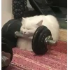🏋