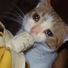 🍌