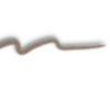 👋