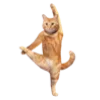 💃