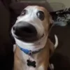 😐
