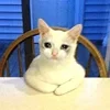 🥺
